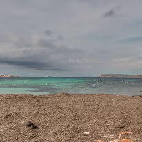 DSC00720