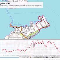 track_opentopomap